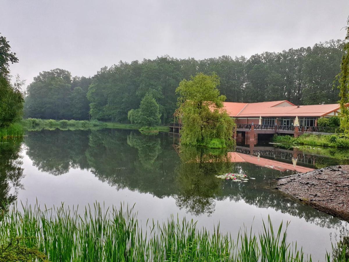 Stacja Nowa Gdynia Bed & Breakfast Aquapark Zgierz Dış mekan fotoğraf