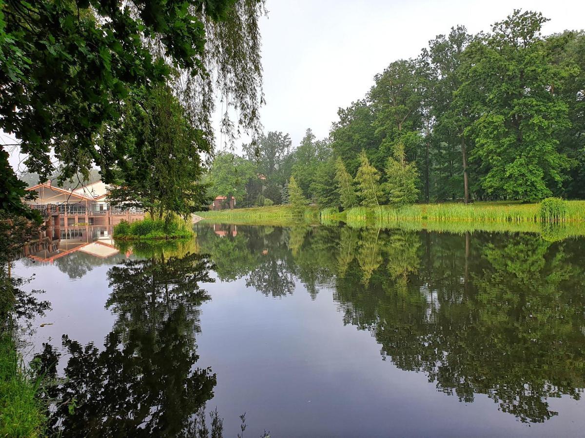 Stacja Nowa Gdynia Bed & Breakfast Aquapark Zgierz Dış mekan fotoğraf