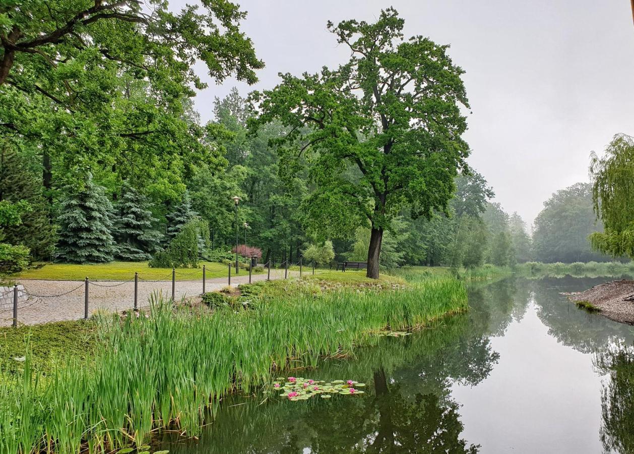 Stacja Nowa Gdynia Bed & Breakfast Aquapark Zgierz Dış mekan fotoğraf