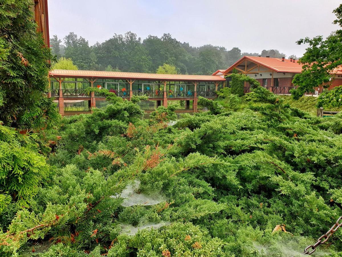 Stacja Nowa Gdynia Bed & Breakfast Aquapark Zgierz Dış mekan fotoğraf