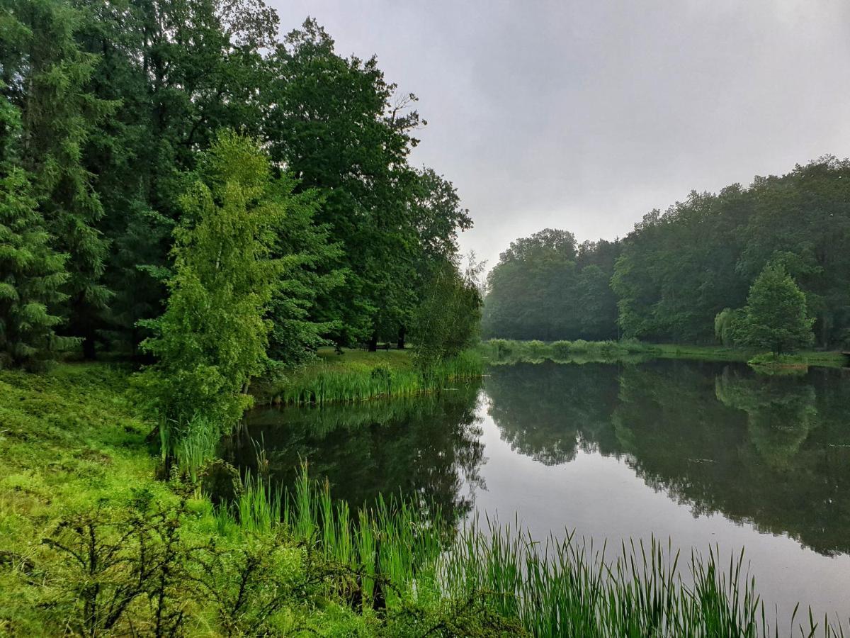 Stacja Nowa Gdynia Bed & Breakfast Aquapark Zgierz Dış mekan fotoğraf
