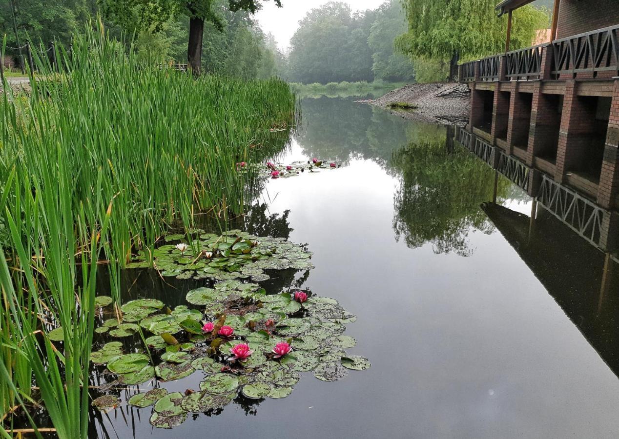 Stacja Nowa Gdynia Bed & Breakfast Aquapark Zgierz Dış mekan fotoğraf