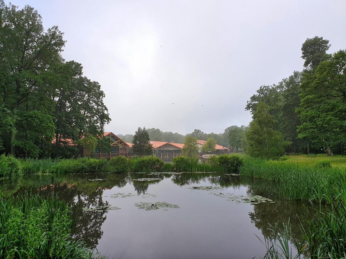 Stacja Nowa Gdynia Bed & Breakfast Aquapark Zgierz Dış mekan fotoğraf
