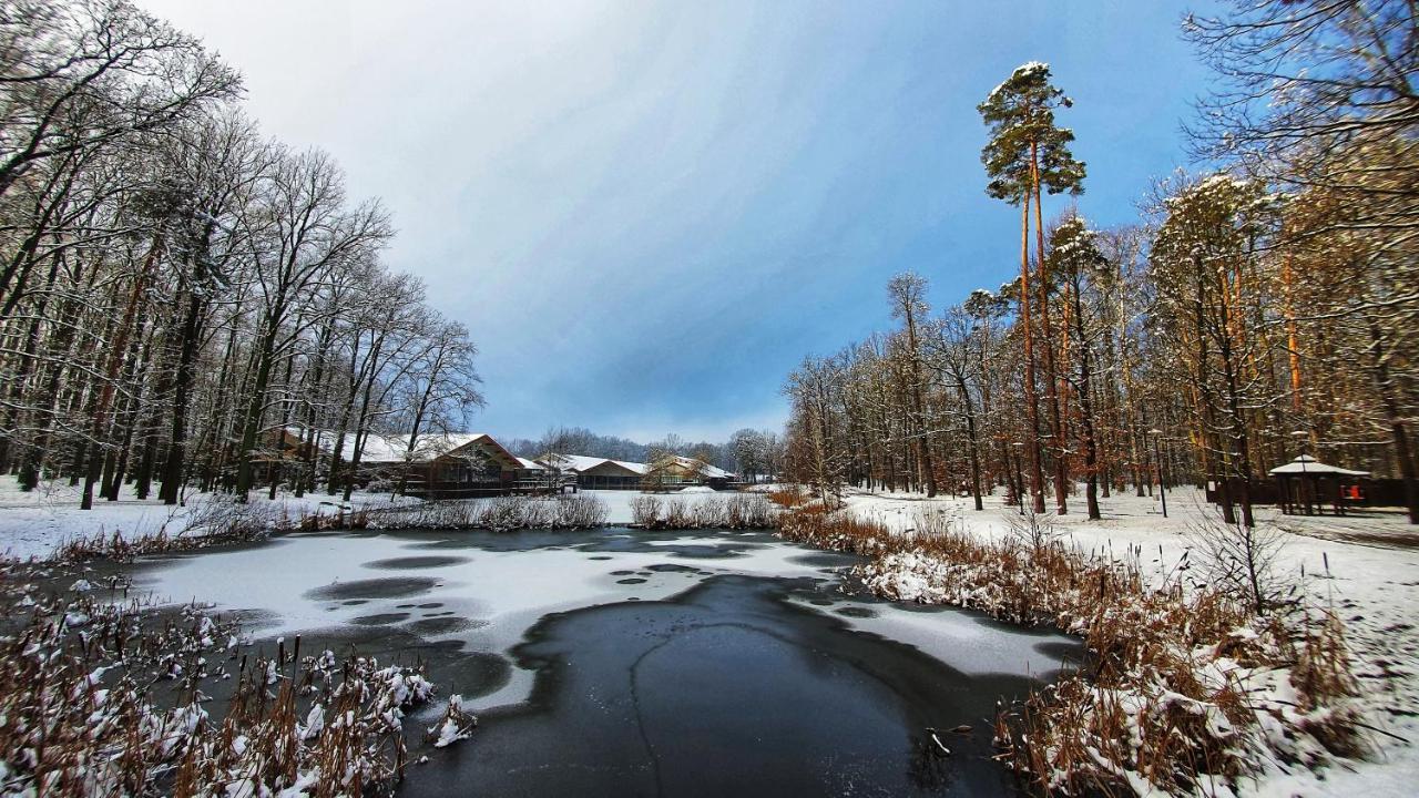 Stacja Nowa Gdynia Bed & Breakfast Aquapark Zgierz Dış mekan fotoğraf