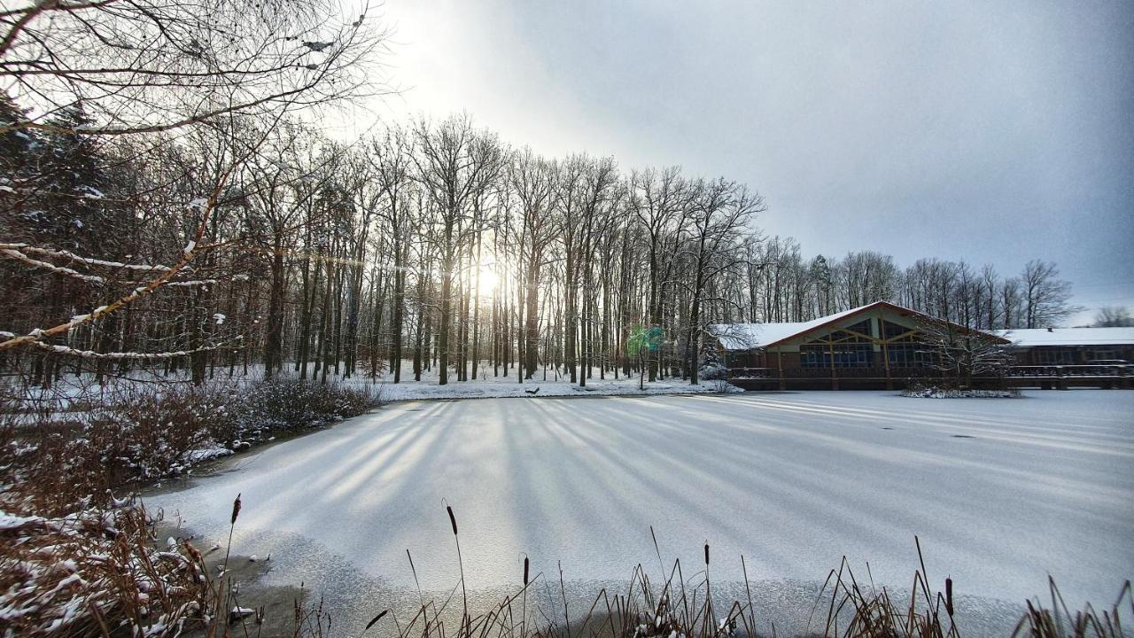Stacja Nowa Gdynia Bed & Breakfast Aquapark Zgierz Dış mekan fotoğraf