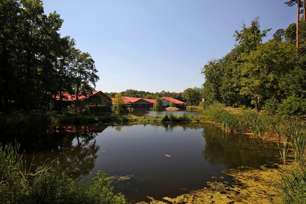 Stacja Nowa Gdynia Bed & Breakfast Aquapark Zgierz Dış mekan fotoğraf